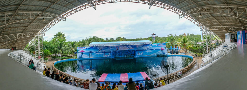 Panoramic view of the Dolphin World