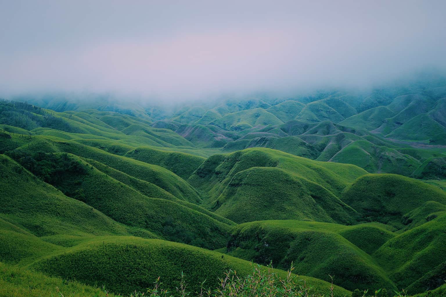 Nagaland