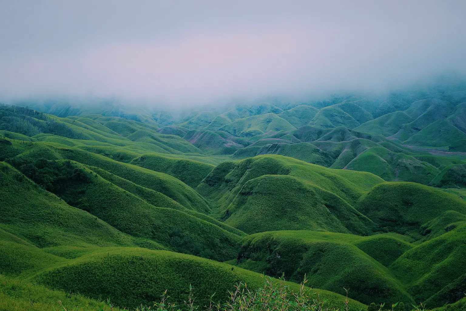 Nagaland