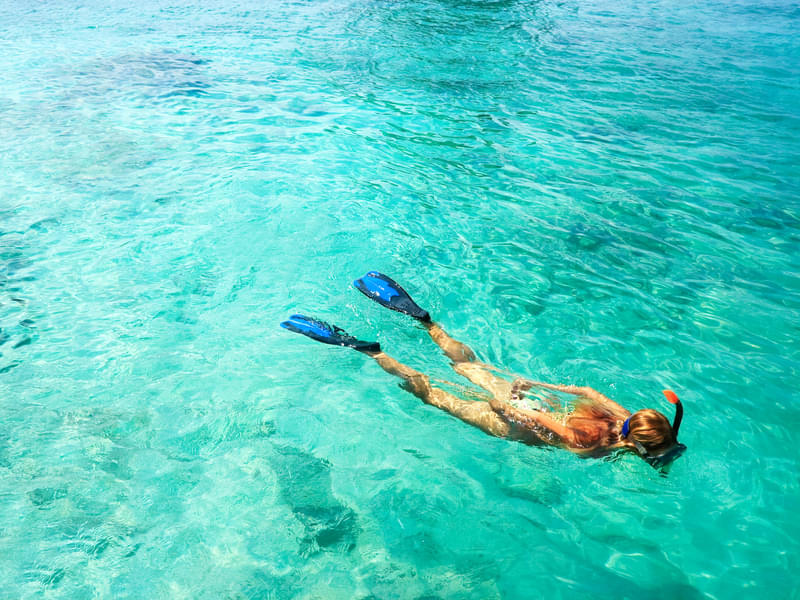Snorkeling in Phi Phi Island Image