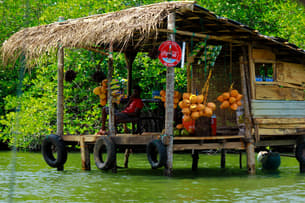 Go24ojqbn0qtf2f81jm3sowfuoc6 shutterstock 1274576008