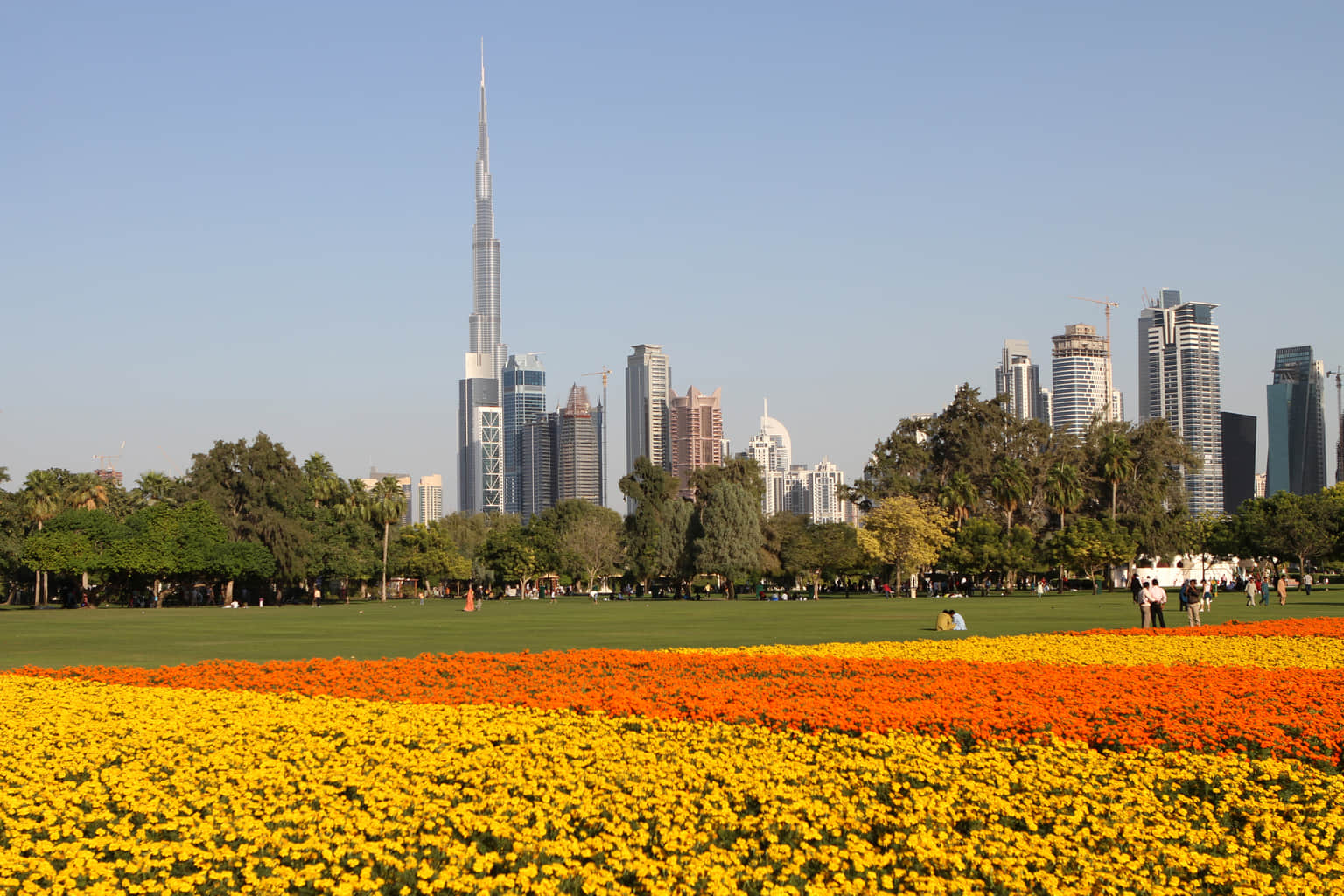 Safa Park, <em>Dubai</em>
