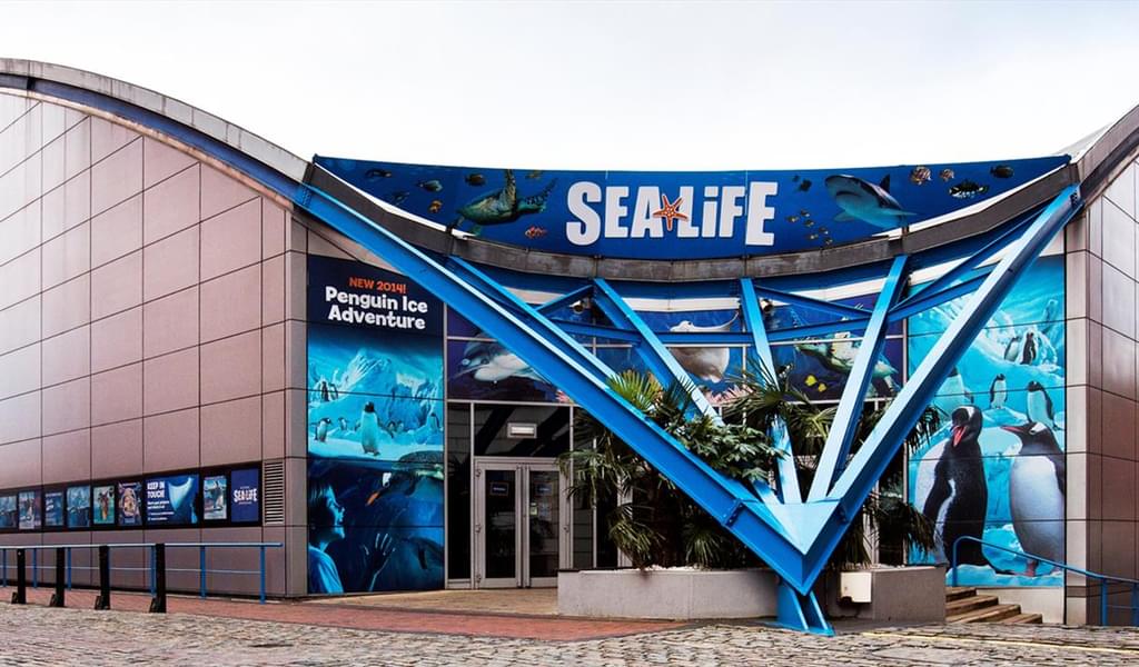 Explore all the distinct aquarium zones at the National SEA LIFE Centre