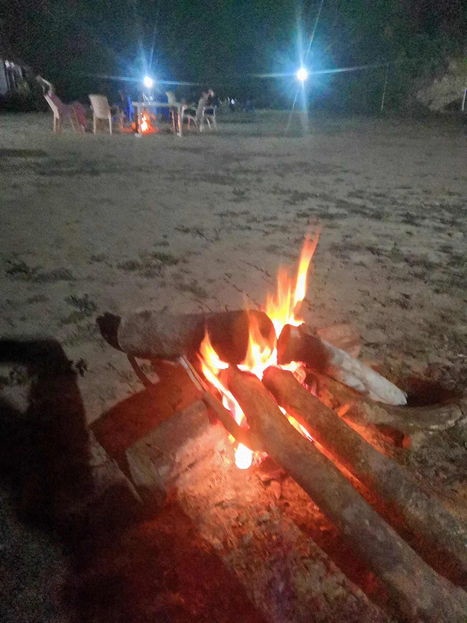 Photo from Abheek Abheek's trip