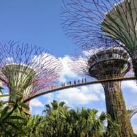 budget-singapore-tour