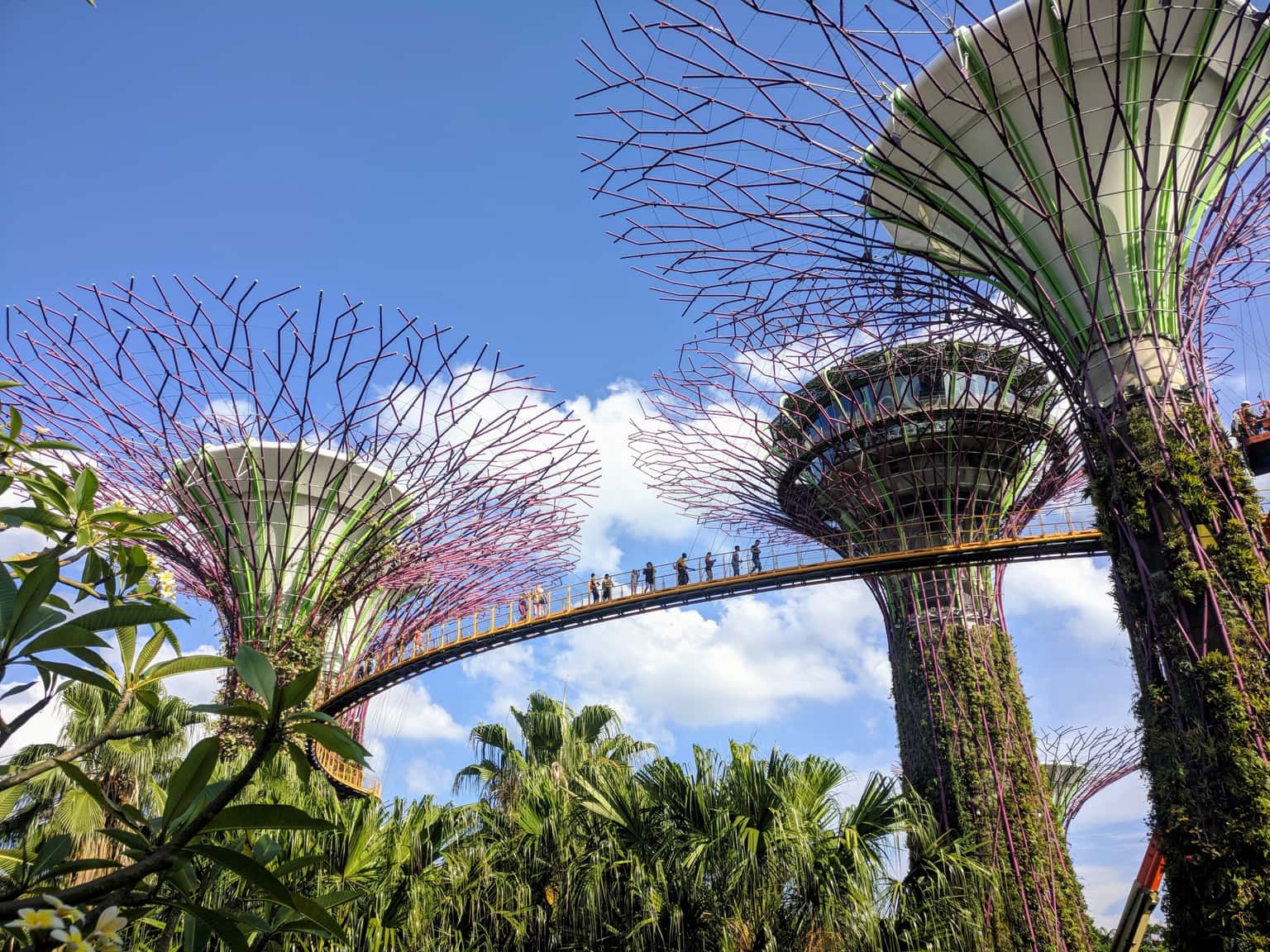 Singapore Land Tour Package