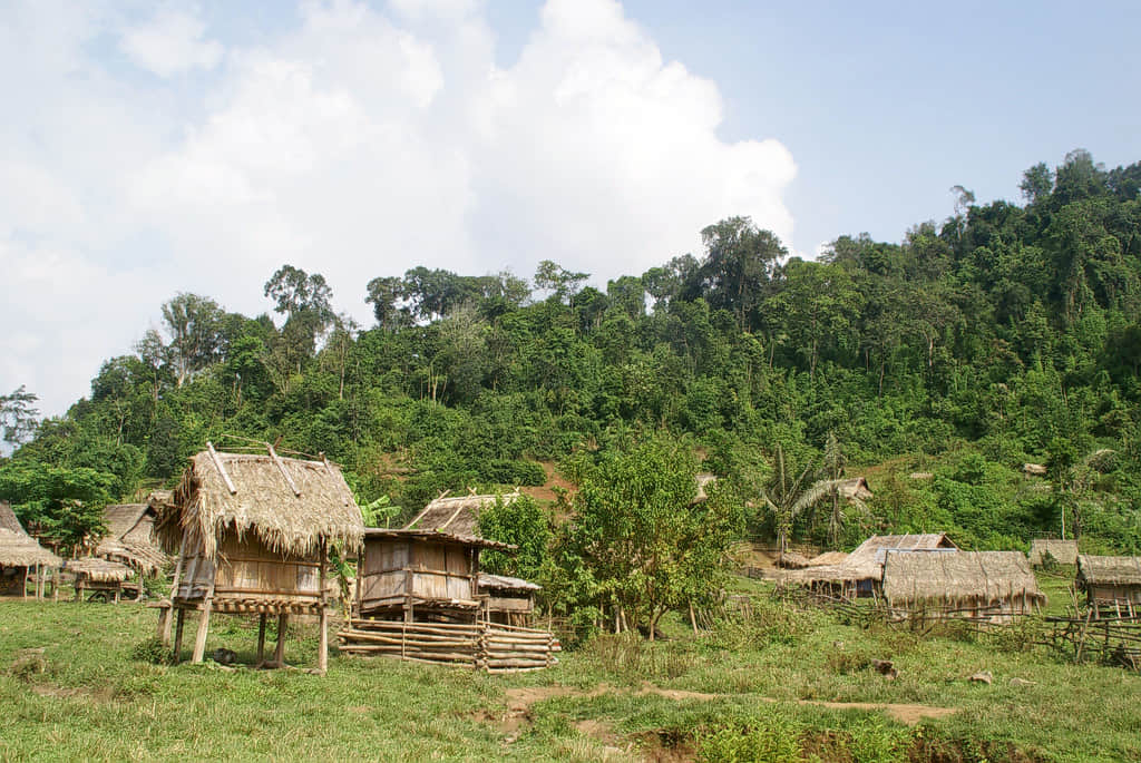 The Gibbon Experience