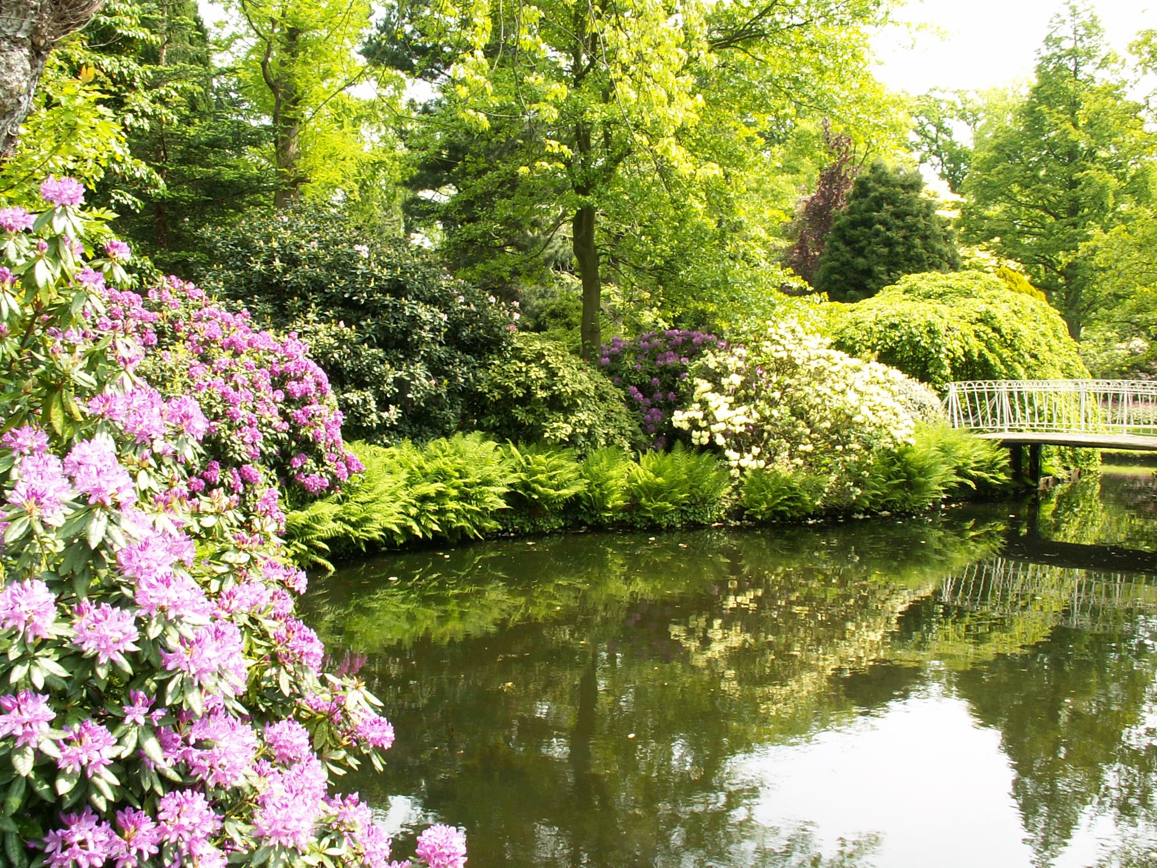 Arboretum Trompenburg Overview