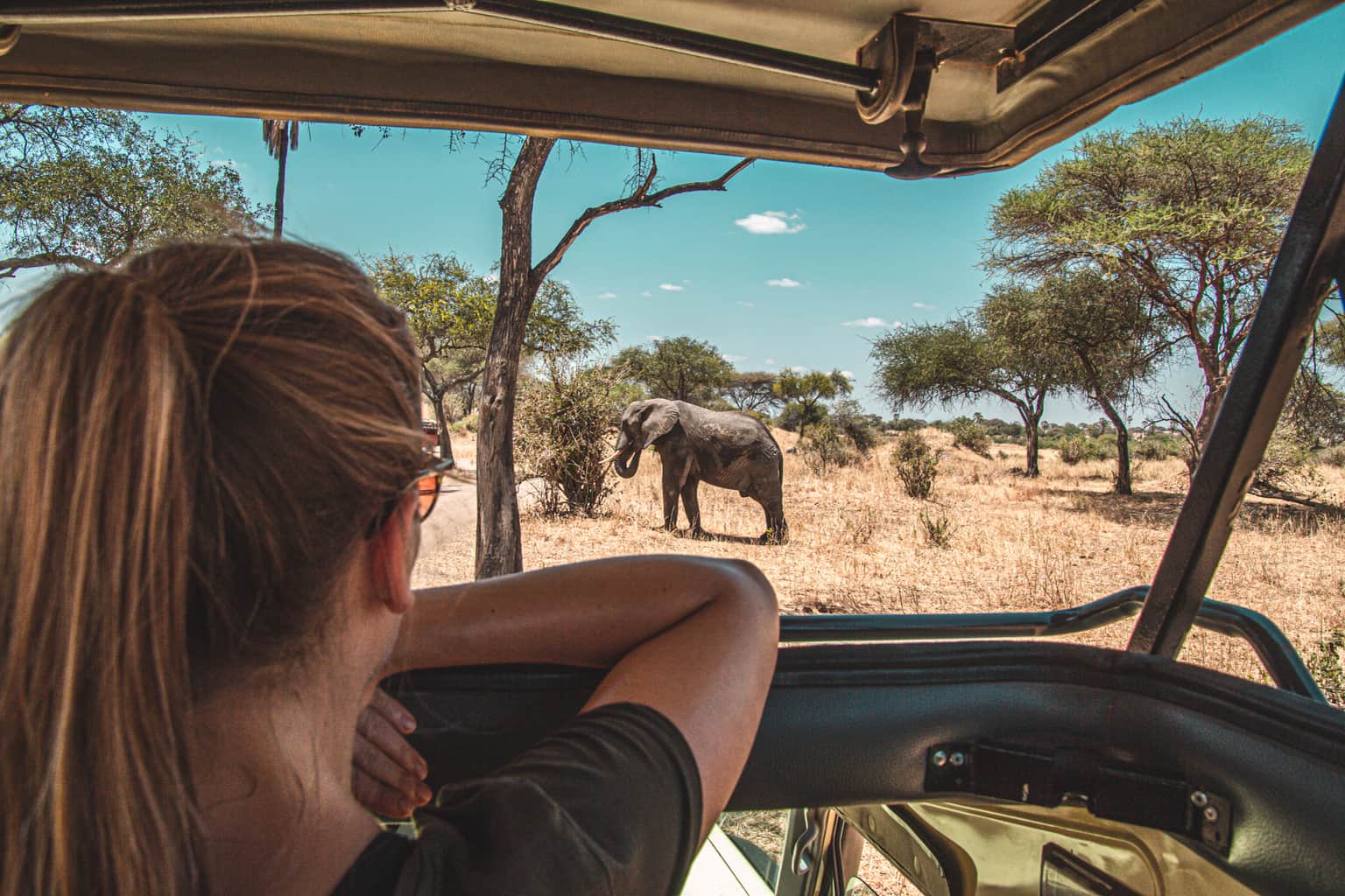 <em>Kenya</em> Tour Packages From Vijayawada