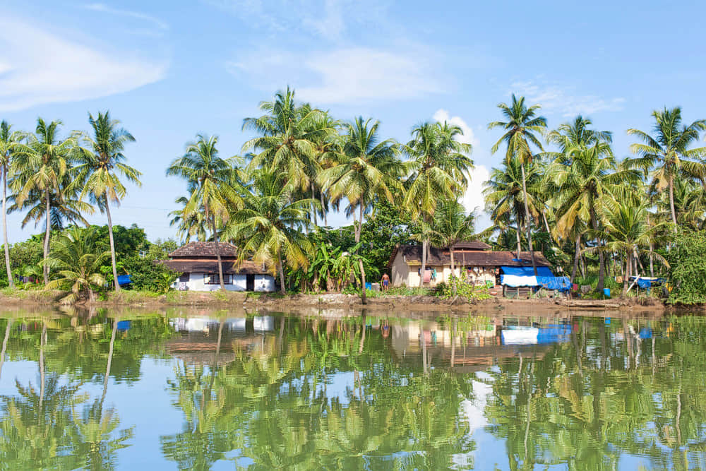 Kadalundi Bird Sanctuary, <em>Calicut</em>