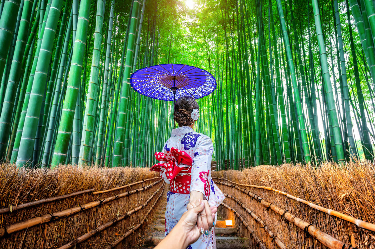Timeless Japan | A Romantic Tale of Two Cities