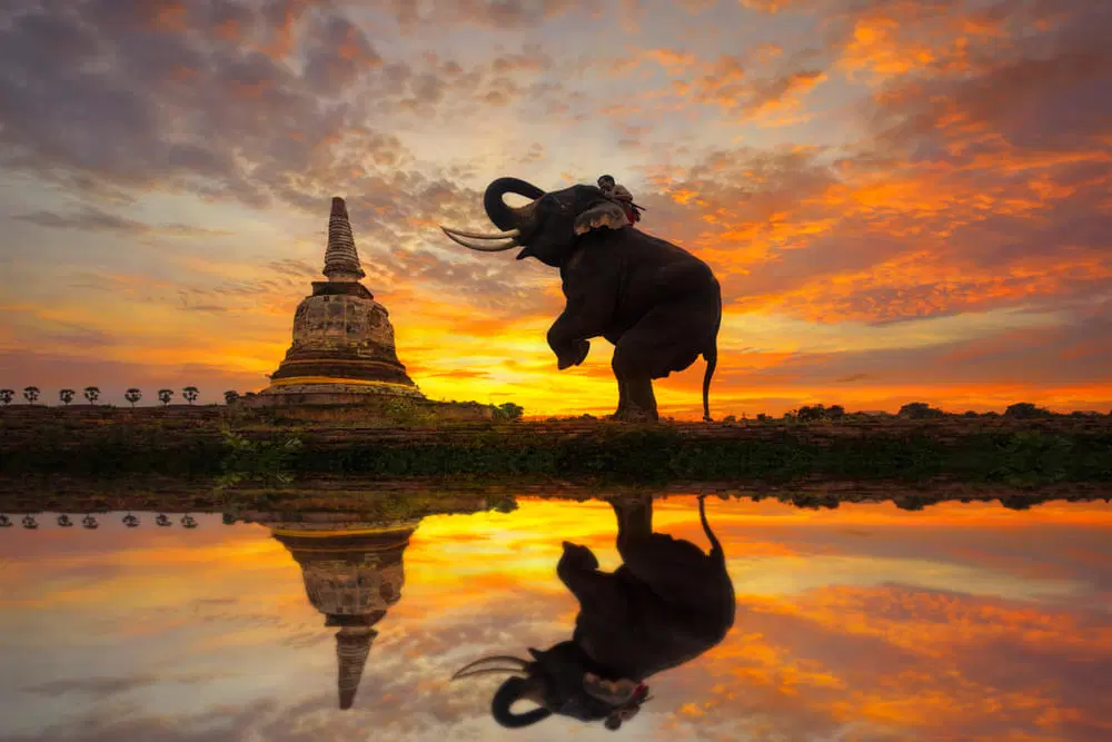 Experience Thailand Differently