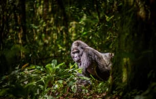 Gr1sz8c1vm2e61faqz1sg7752ao5 dl.beatsnoop.com final m6trw0s5zl