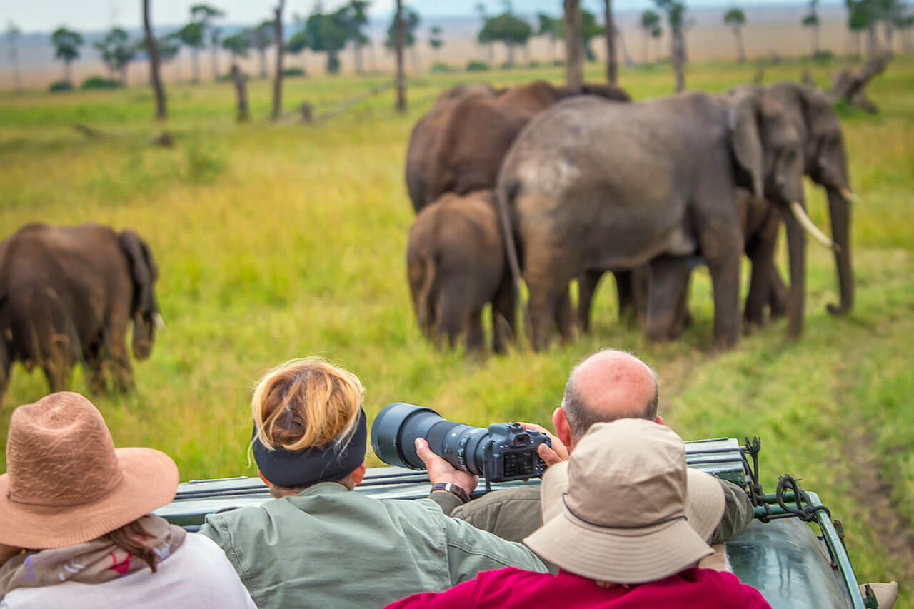 40 Kenya Safari Packages 2024 UPTO 35 OFF   Gr1znm3l5r30xu96ixiwjb9kpgr8 1592046018 Elephants Featured 