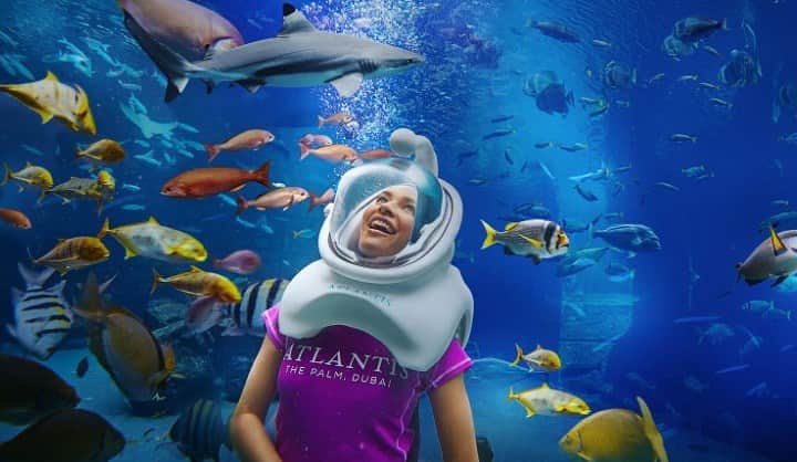 Dolphin Island Singapore, <em>Singapore</em>