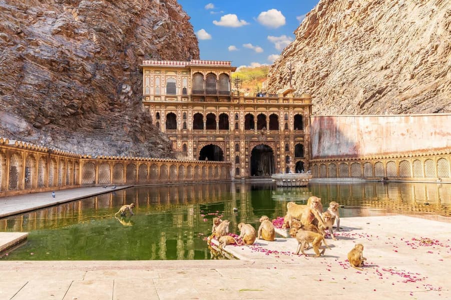 Jaipur City Sightseeing Tour with Jal Mahal Image
