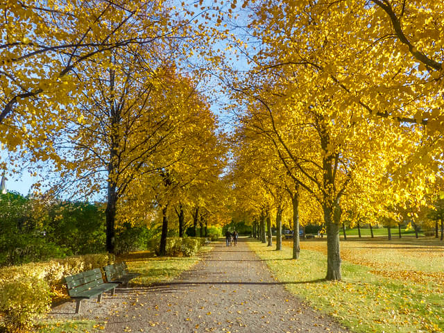 Spend some peaceful time at the Djurgarden Park