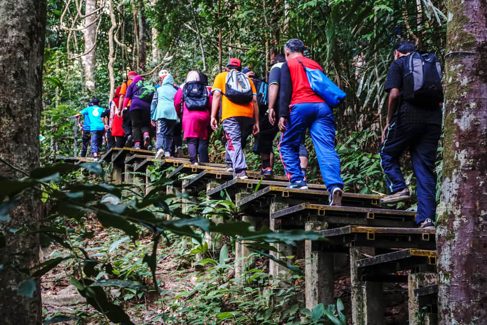 Taman Negara, <em>Malaysia</em>