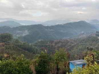 Embark on Serene Forest Trek