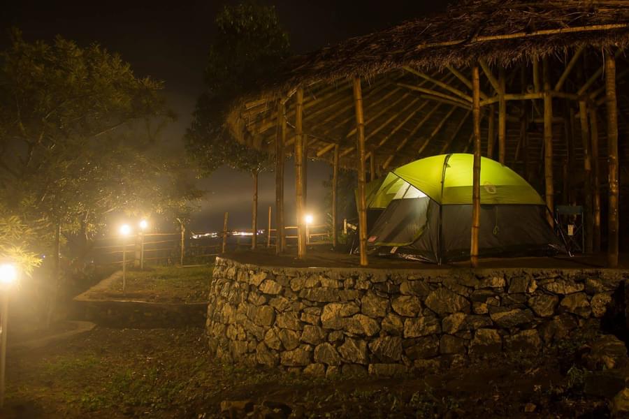 Luxury Camping in Munnar Image