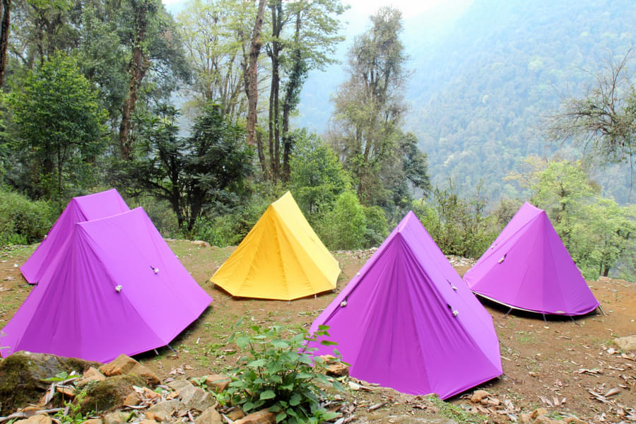 Kanchenjunga Base Camp Trek Image
