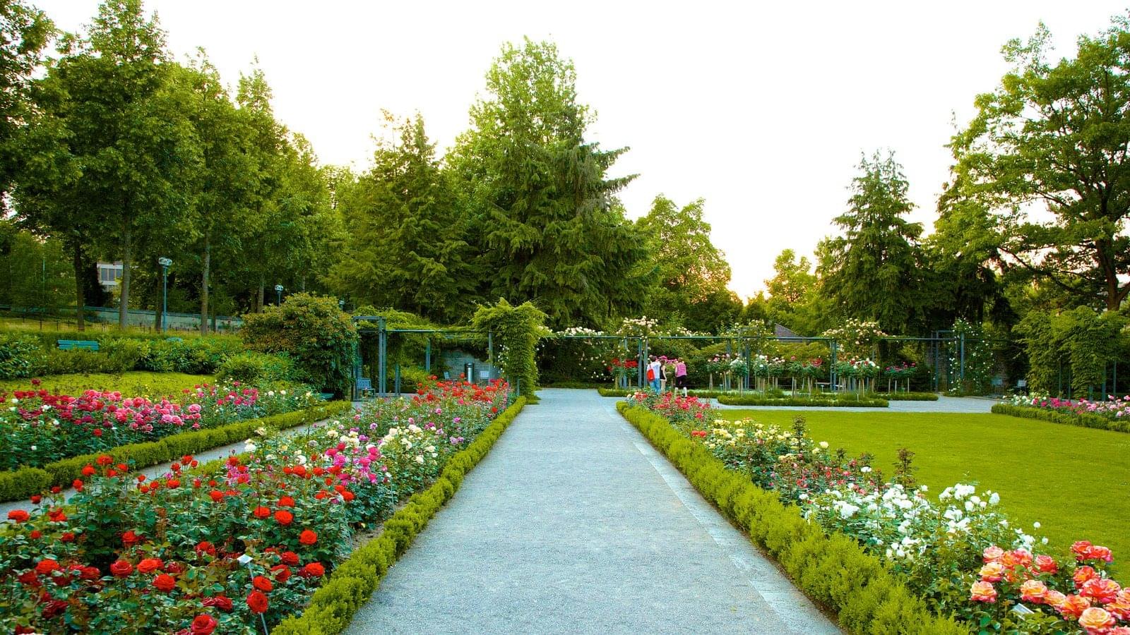 Rose Garden Overview