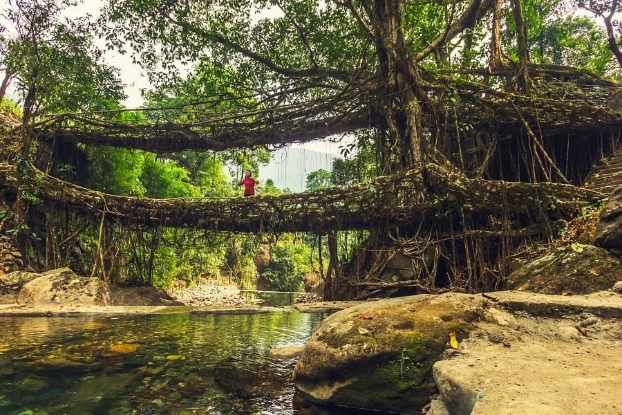 Holidays in Meghalaya Image