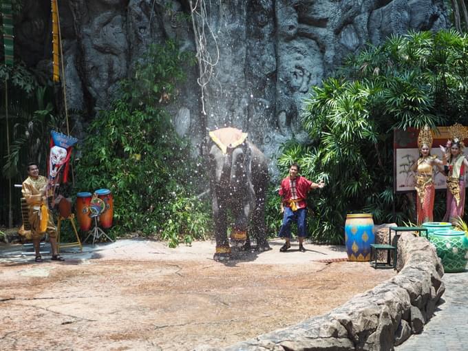 Shows in Singapore Zoo