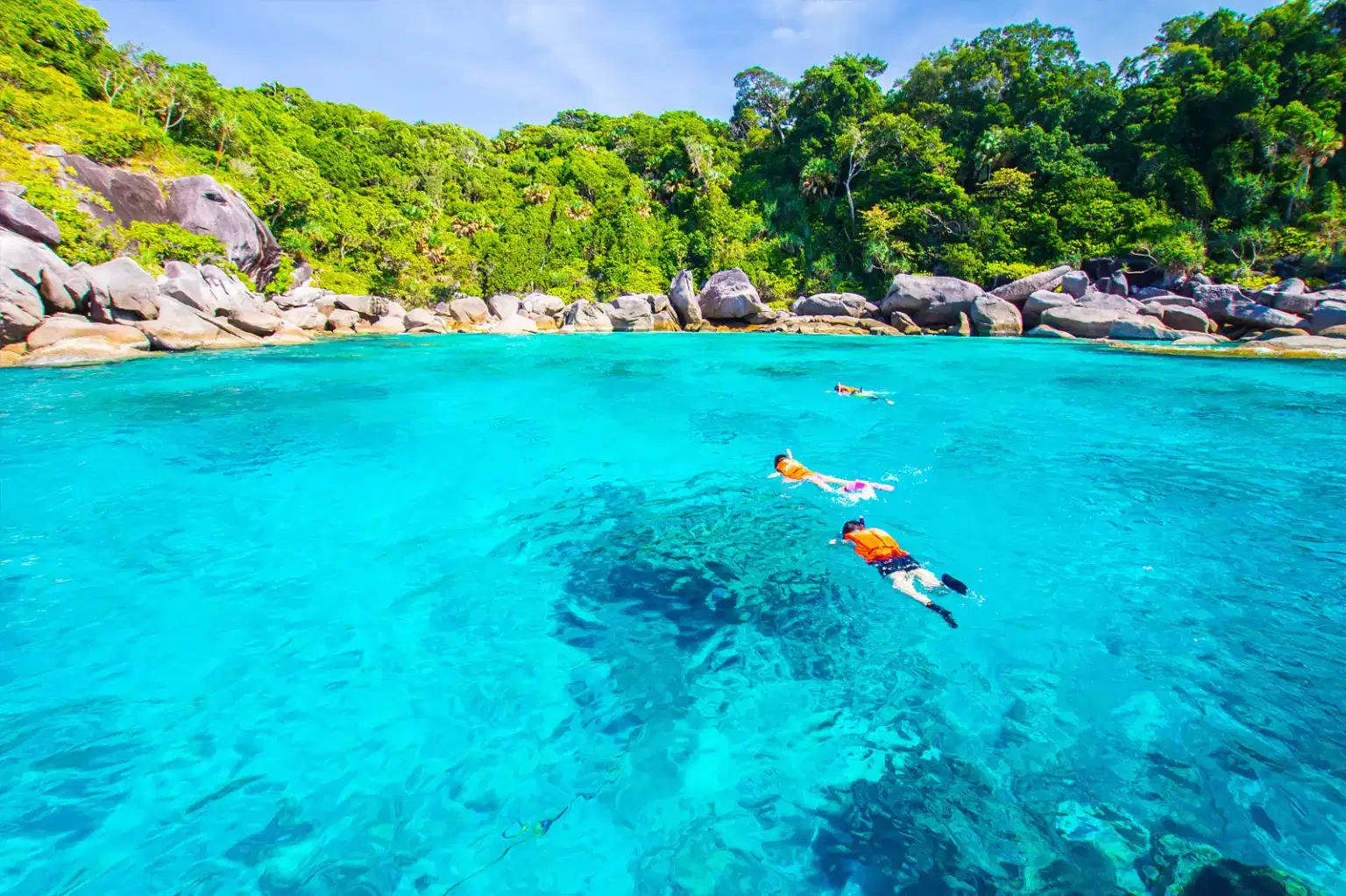 Similan Island Tour By Speedboat