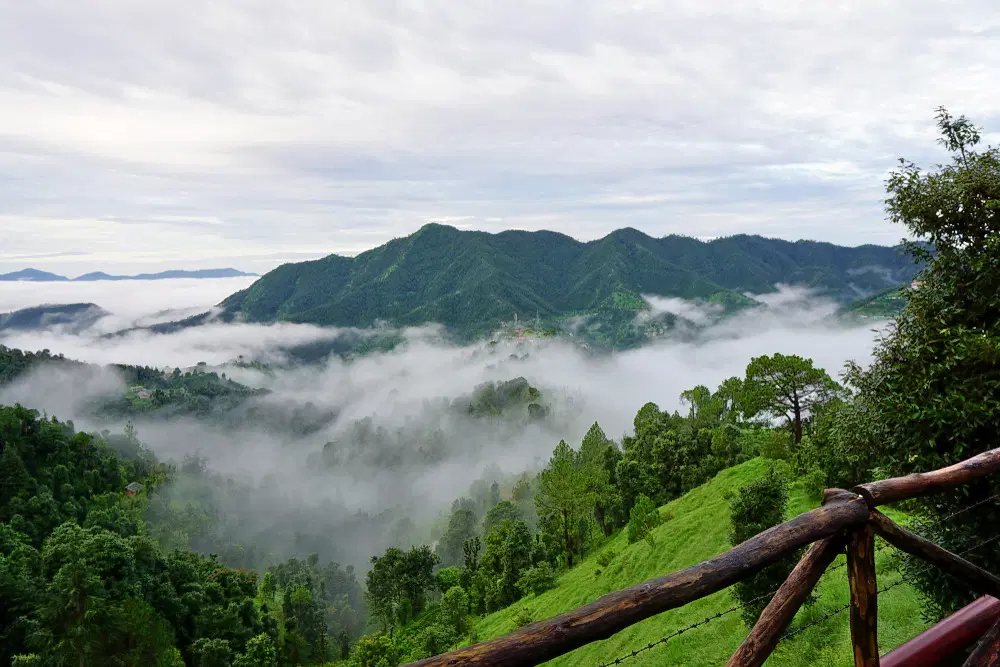 Shoghi