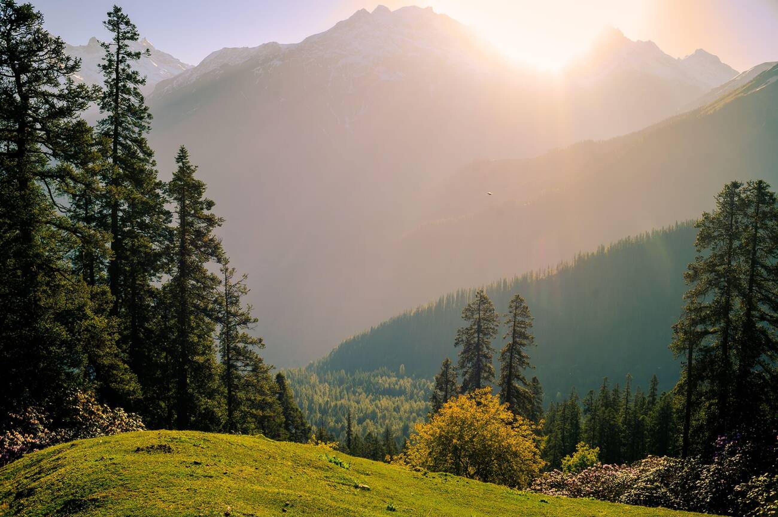 Valley sunrise