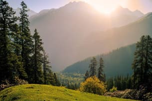 Gsmtett7342j7wq4jc2f29tpqktu downpic.cc image361749260