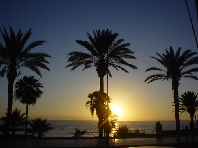 Try surfing at Playa de las Americas