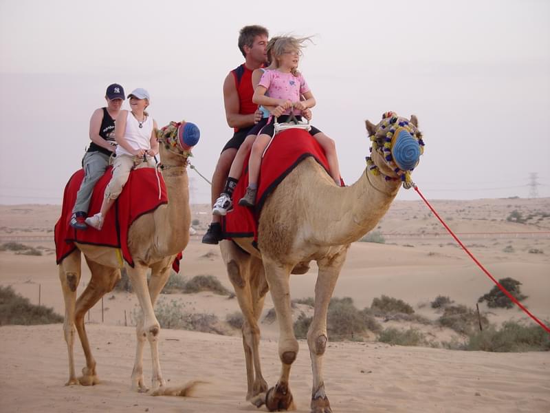 Go on an amazing camel ride