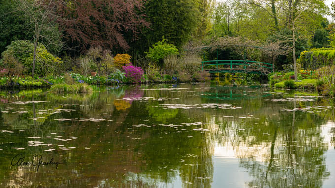 The Water Garden