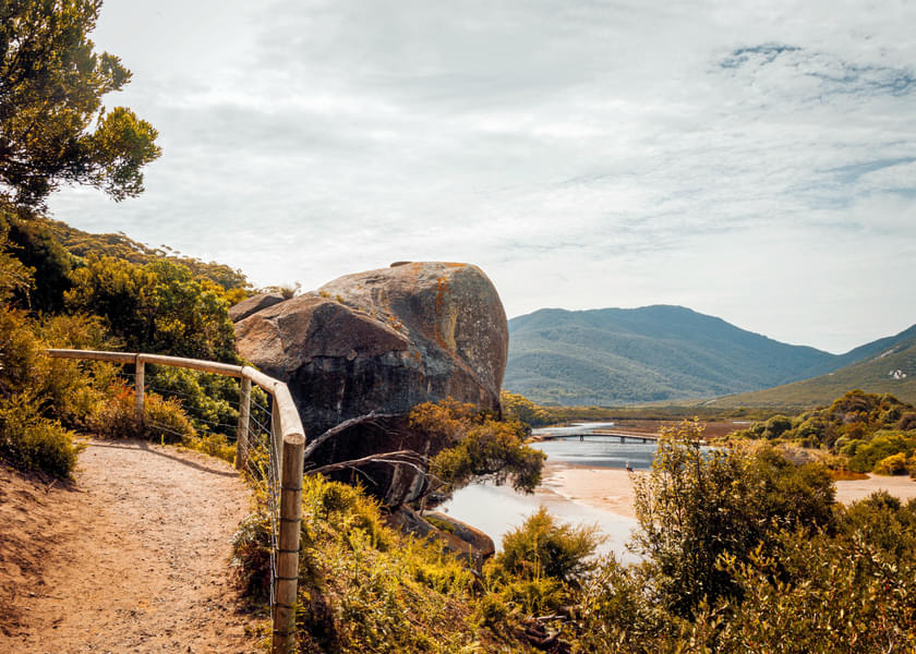 Day Tour to Wilsons Promontory National Park, Melbourne Image