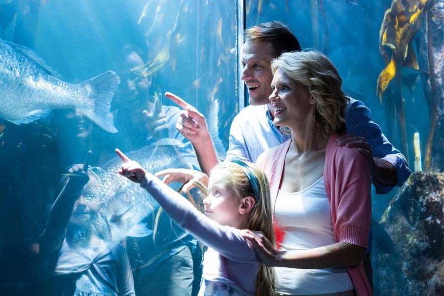 Osaka Aquarium Kaiyukan Tickets Image