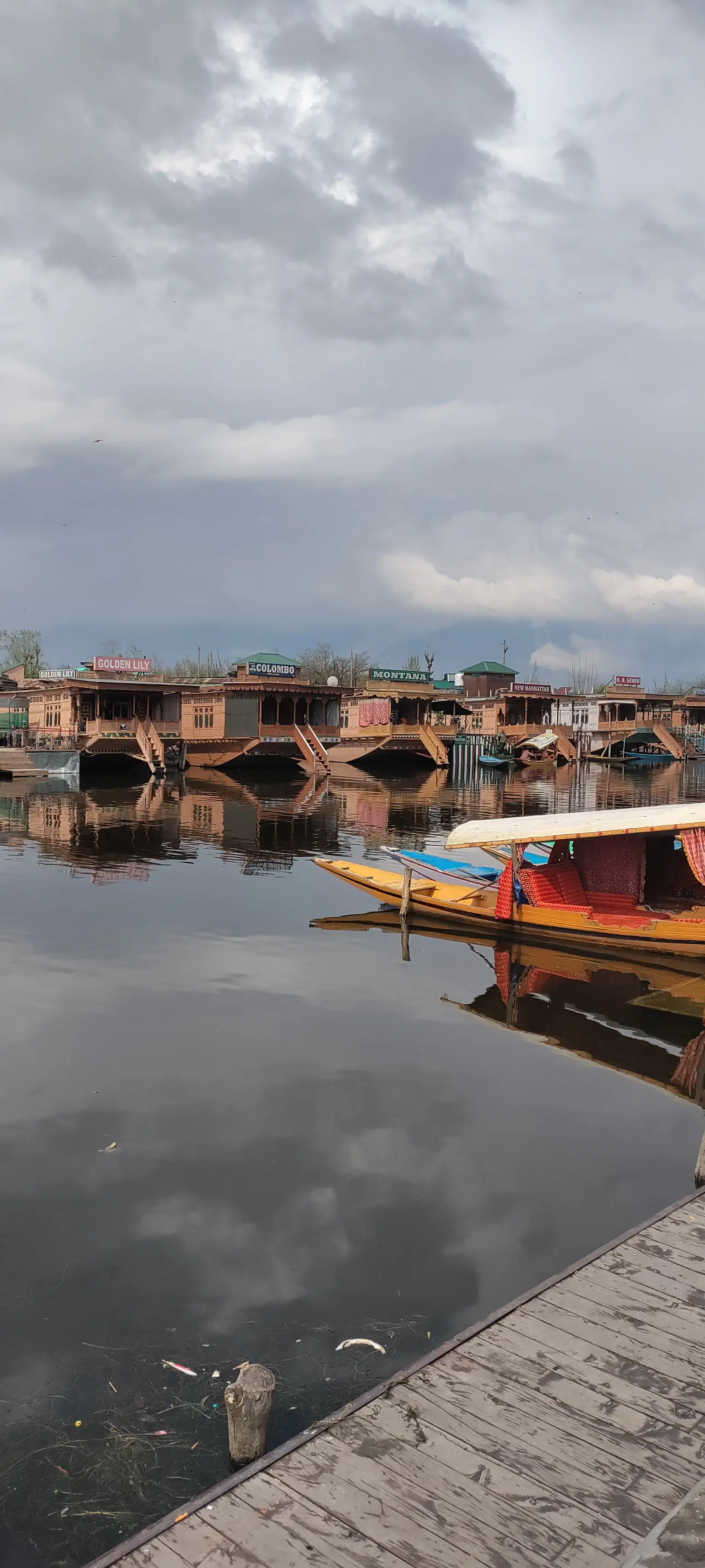 Photo from Siddhi  Velani 's trip