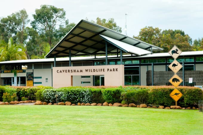 See the unique wildlife of Australia’s tropical North East at Caversham Wildlife Park 