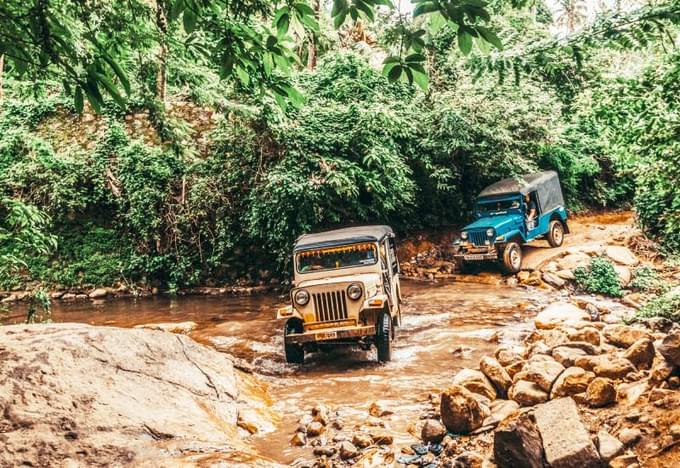 Ride through dense forests where adventure meets nature
