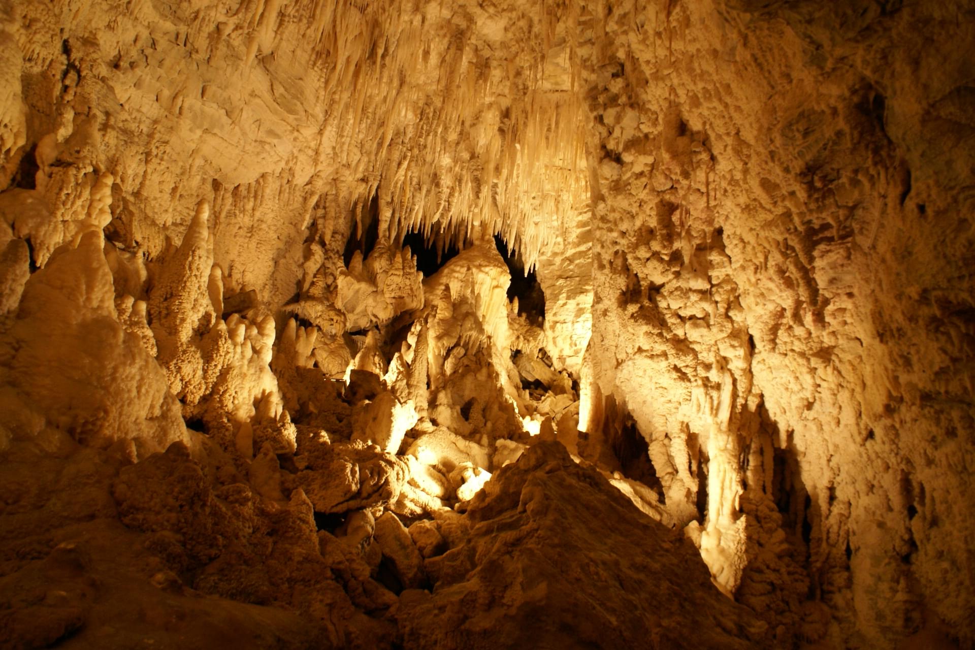 Ruakuri Cave Overview