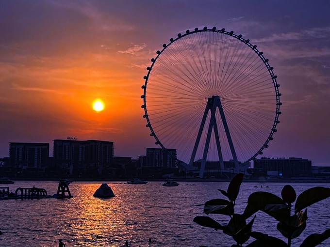Ain Dubai in Evening