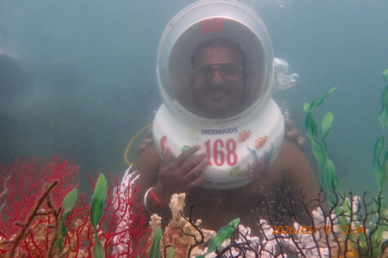 Photo from SUMIT KUSHWAH's trip