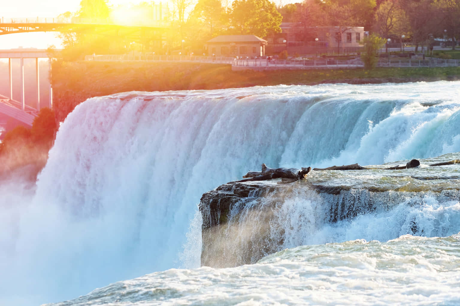 Niagara Falls Tour from New York