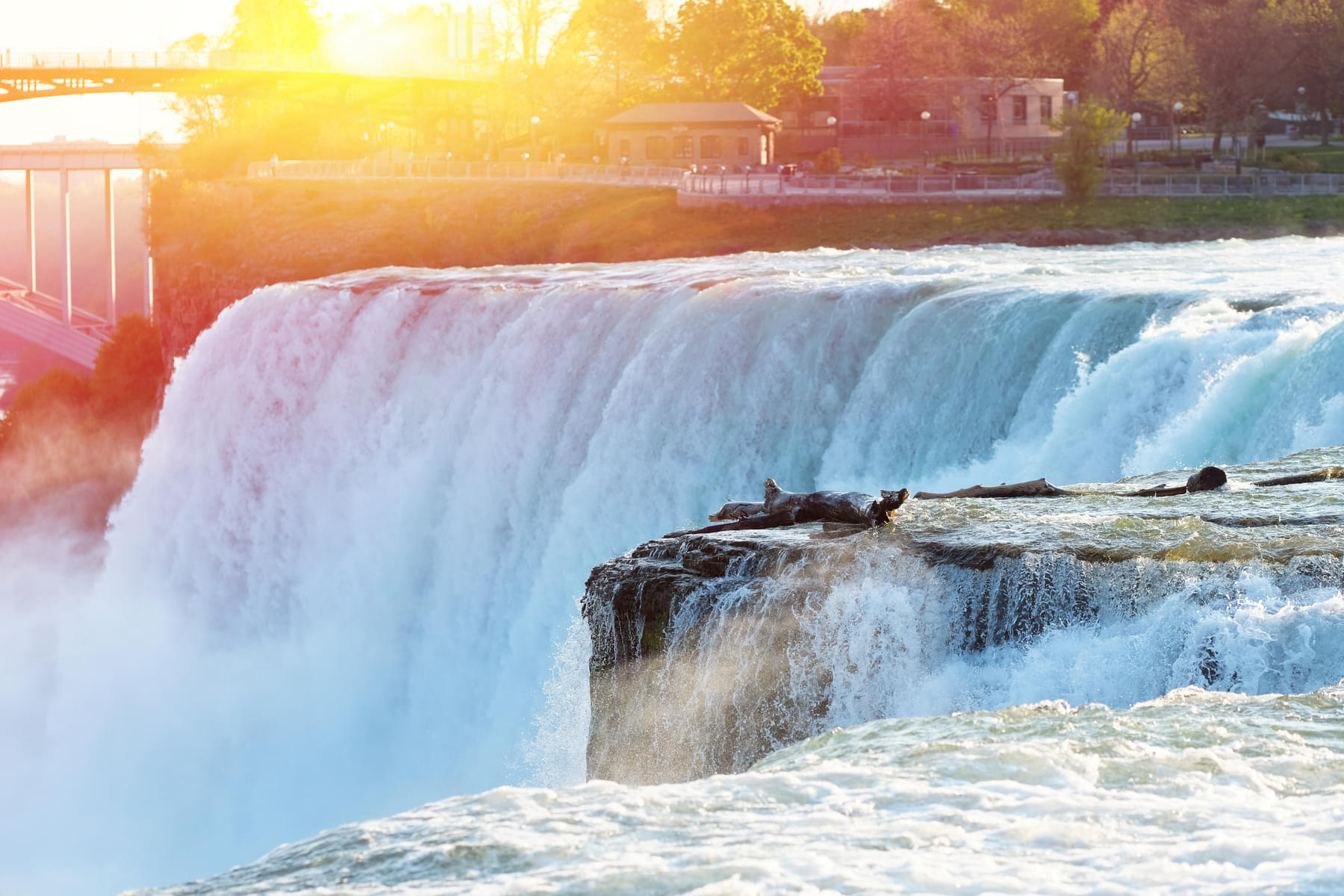 Admire the spectacular beauty of Niagara Falls