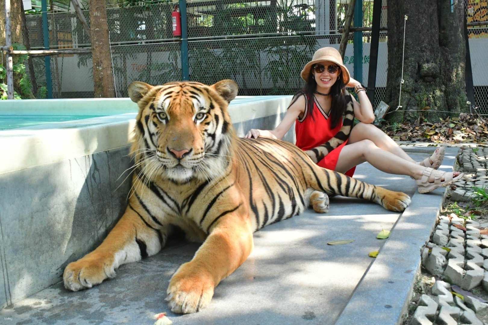 Tiger Park Pattaya