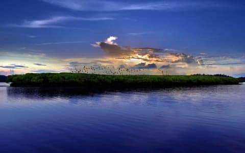 Baratang Island Experiential Tours