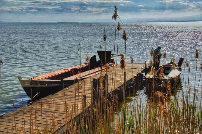 Albufera Valencia Tour