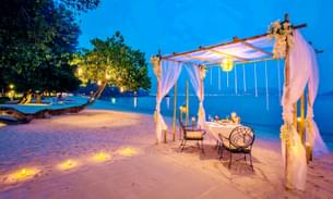 Gwtr3z8k9u6mgbpnaahfz7olg9xh 980maw8yji9ut9hott8r5o53j1xc aac7e057 a0d2 4928 8494 286648bf5aa5