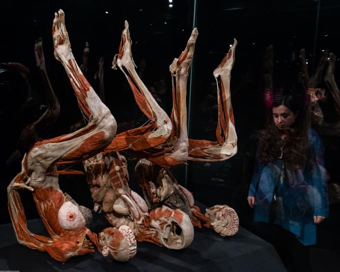 Body Worlds Amsterdam